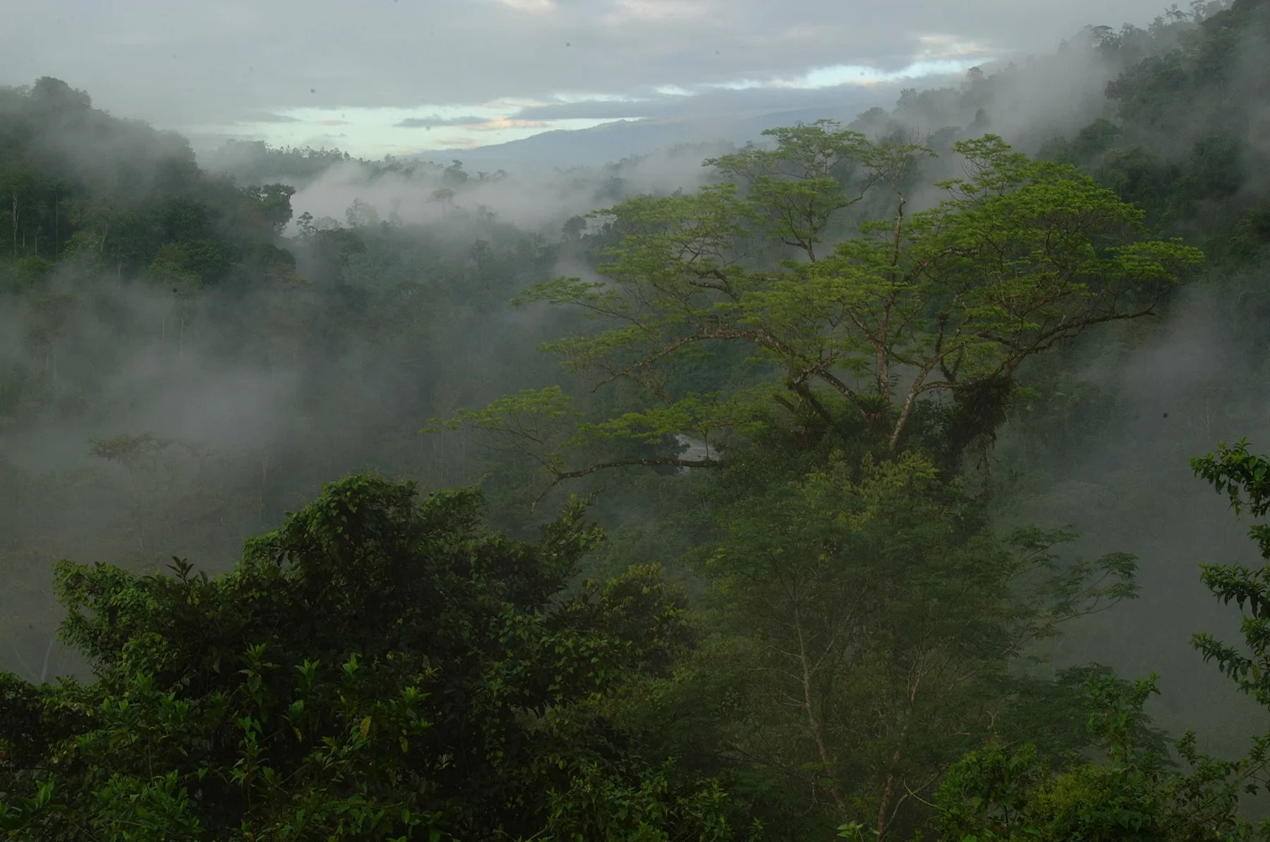 Costa Rica gateway · EasyCostaRica